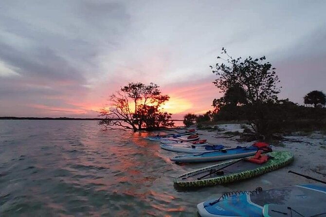 bioluminescence-clear-kayak-or-paddleboard-tour-near-orlando