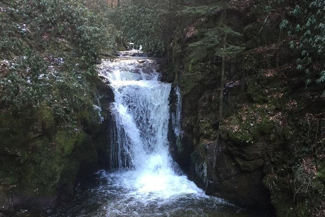 black-forest-day-tour-2