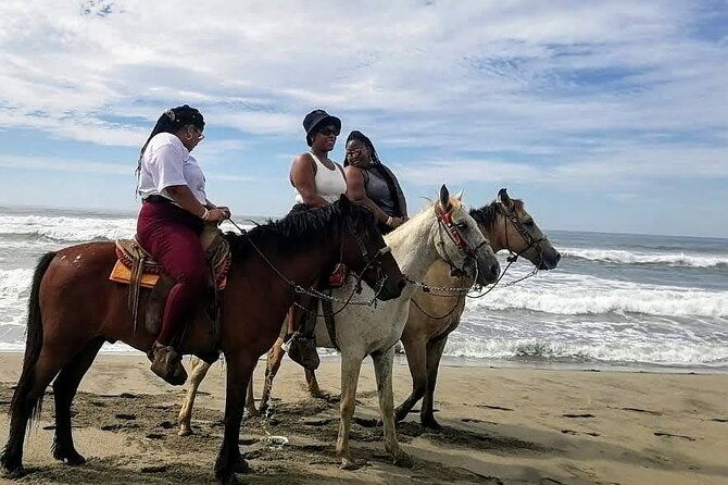 boat-ride-gentle-beach-beach-horseback-ridelunch-crocs-turtles