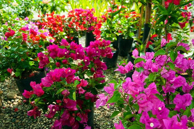 botanical-garden-and-arvi-park-medellin-city-tour