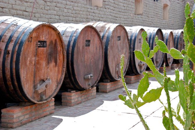 cafayate-wine-trail-excursion-explore-saltas-vineyards