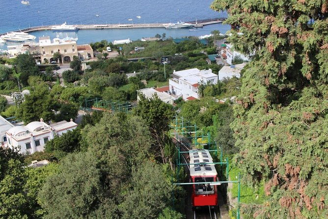 capri-diy-day-trip-package-boattour-bluegrottobuslunch