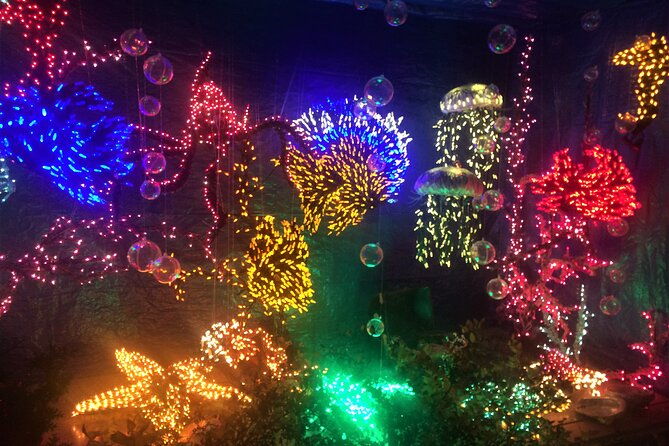 christmas-lights-and-snowflake-lane-photo-tour