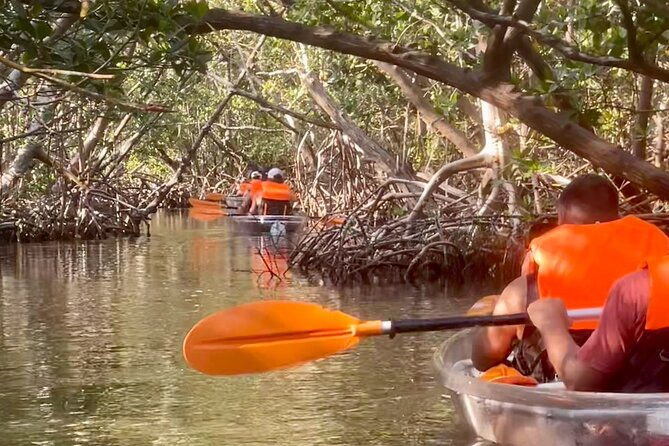 clear-kayak-private-guided-day-and-night-tours-in-florida