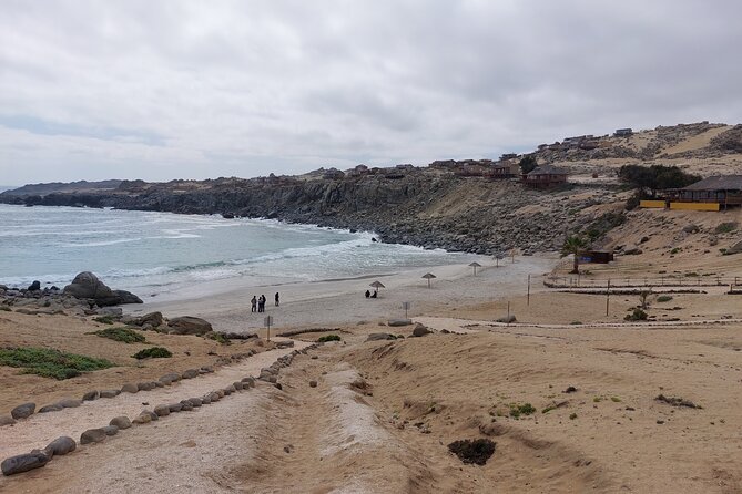 coast-and-atacama-desert-english-bay-and-sugar-loaf-from-la-serena