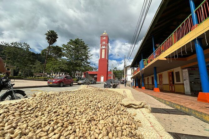 coffee-region-andes-mountains-coffee-tour-pijao-buenavista