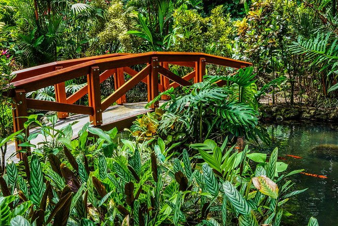 combination-hanging-bridges-waterfall-volcano-hike-hot-spring