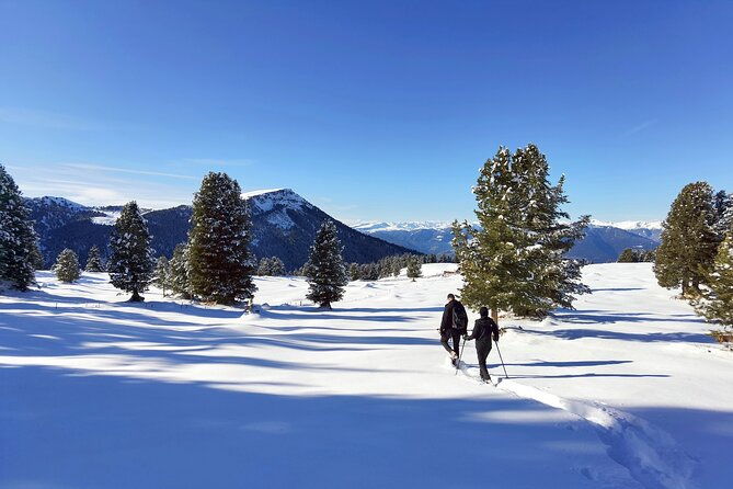 cortina-dolomites-winter-hiking-sledding-experience