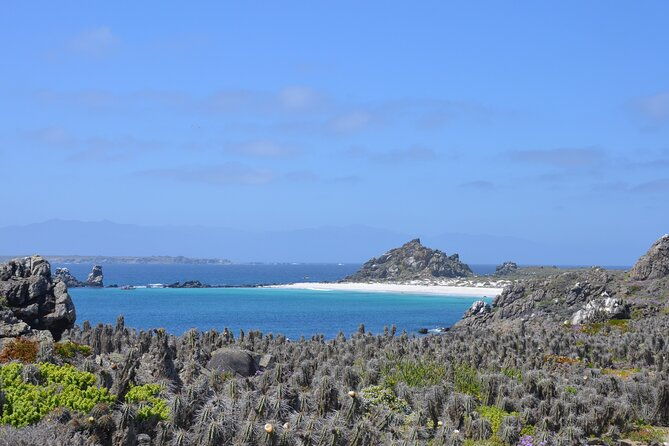 dama-island-or-chanaral-navigation-tour-humboldt-penguin-reserve
