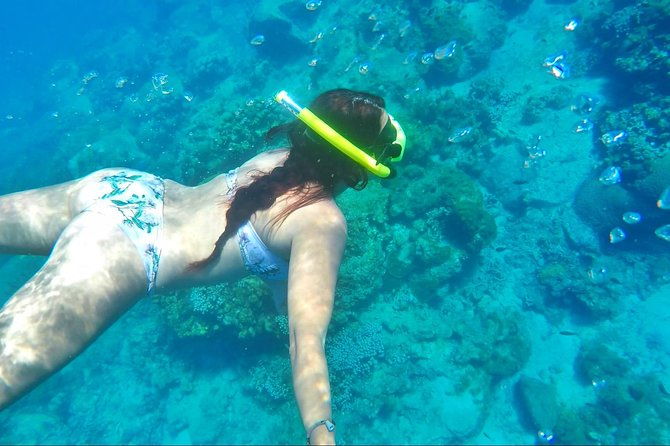 dash-and-splash-snorkel-adventure-st-lucia