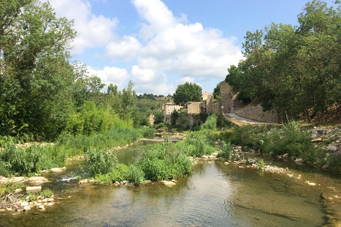 day-tour-to-lagrasse-village-and-fontfroide-abbey-private-tour-from-carcassonne