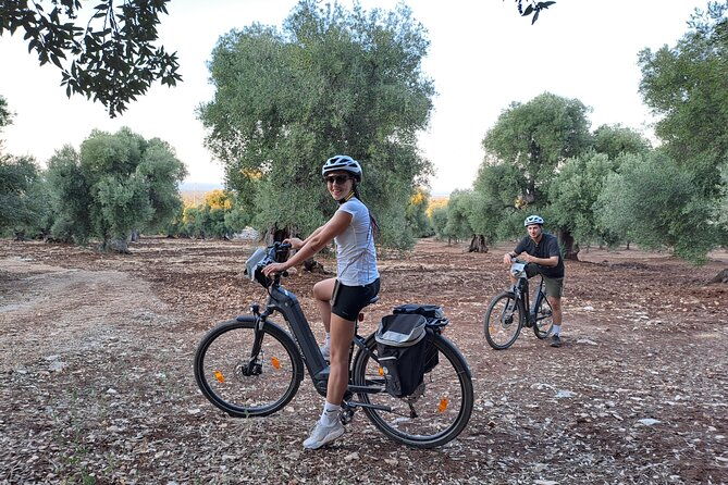 e-bike-tour-in-the-plain-of-the-secular-olive-trees-of-ostuni-3