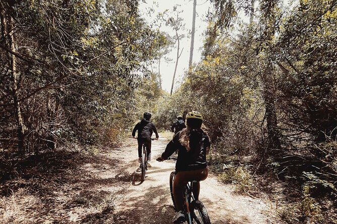 e-bike-wild-experience-with-transport-from-porto-and-braga