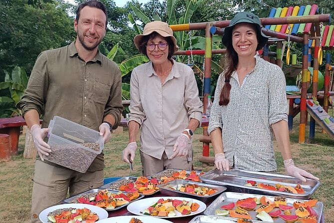 eco-adventure-and-volunteering-at-parrots-and-macaws-sanctuary