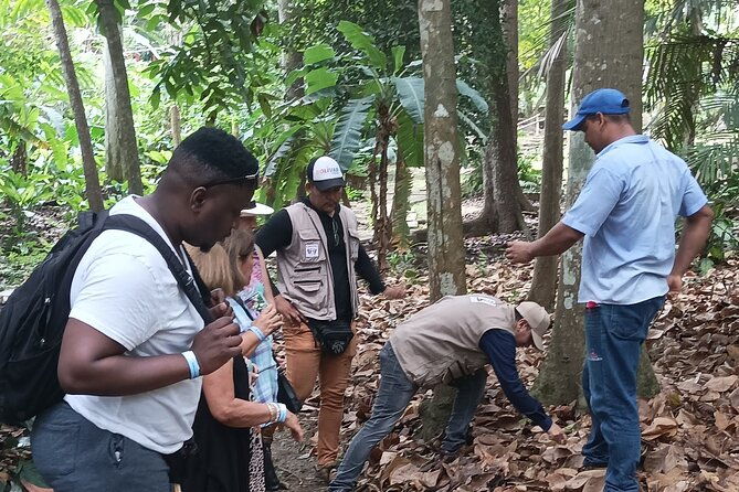 eco-cultural-excursion-to-turbaco-town
