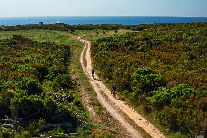 electric-off-road-scooter-tour-in-pula-2