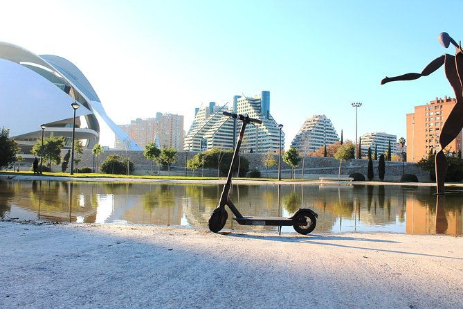electric-scooter-rental-2