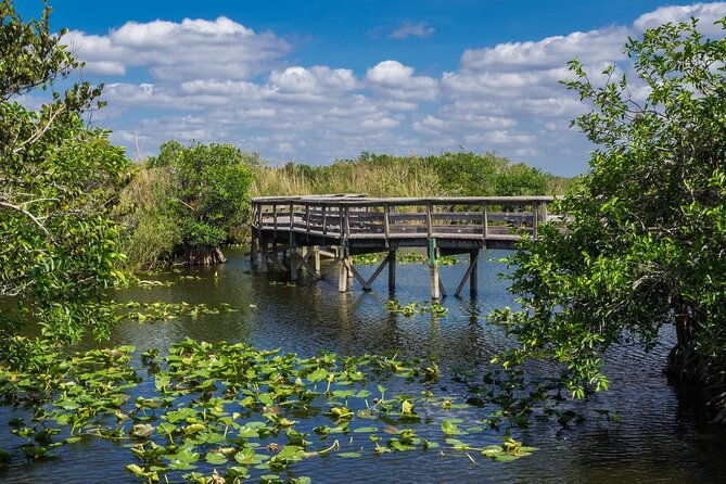everglades-national-park-self-guided-driving-audio-tour-2