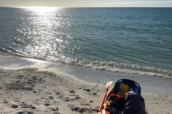 exclusive-kayak-expedition-exploring-the-mangroves-to-shell-key