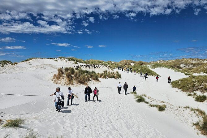 falkland-islands-shared-tour-with-penguins-sightseeing