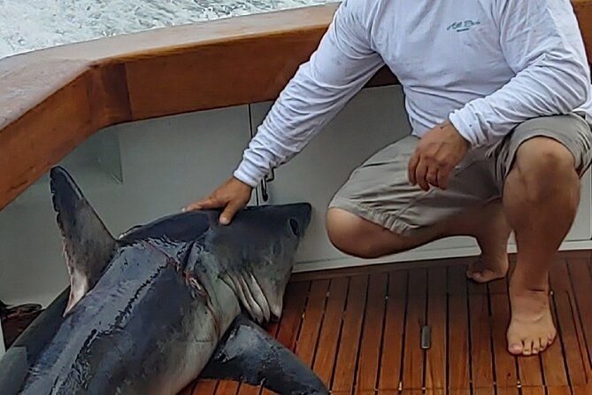 fishing-or-cruising-boston-harbor-on-private-yacht-trinacria