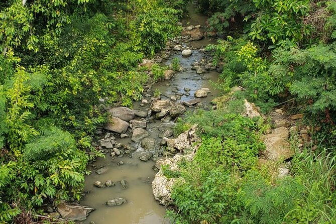five-hour-day-pass-3-hour-fun-hike-and-challenges-great-experiences-bajan-lunch