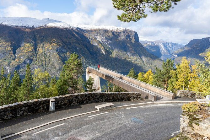 flam-the-spectacular-stegastein-viewpoint-tour-small-group-2