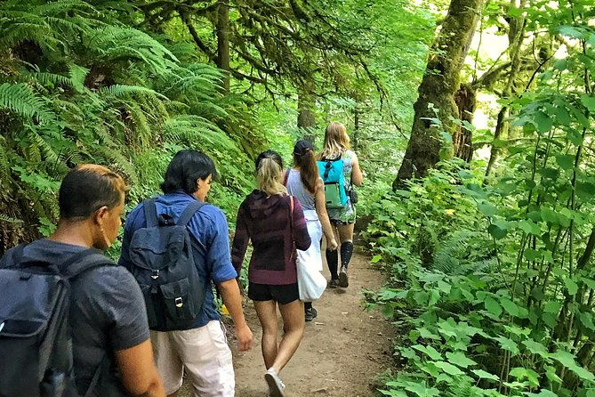 forest-park-urban-hiking-tour-portland