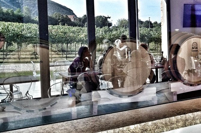 from-abano-montegrotto-wine-tour-in-the-euganean-hills