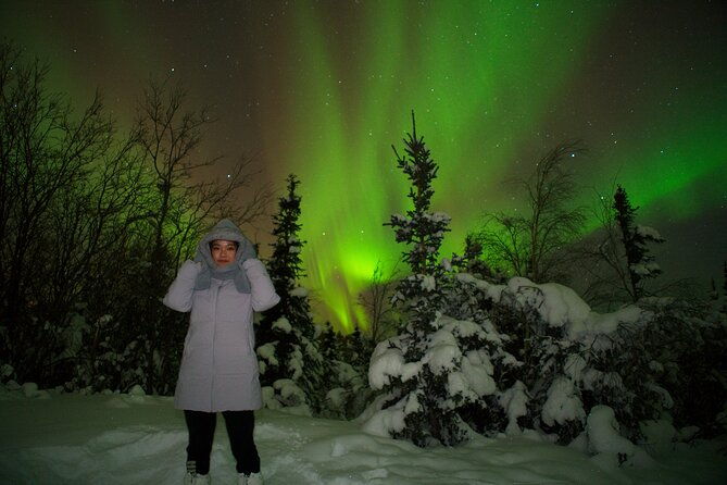 full-day-arctic-circle-tour-2