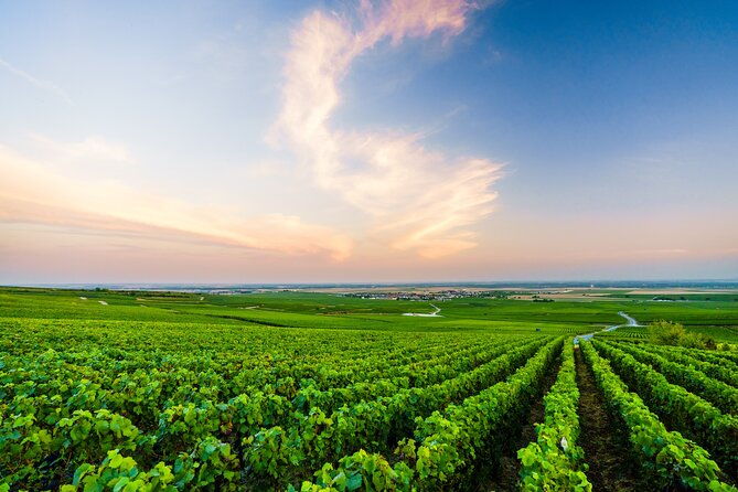 full-day-champagne-pommery-small-group-tour-2