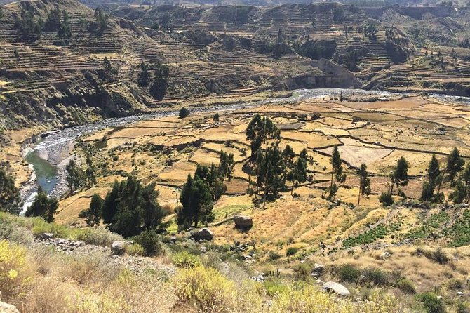 full-day-tour-including-transfer-to-puno-colca-canyon