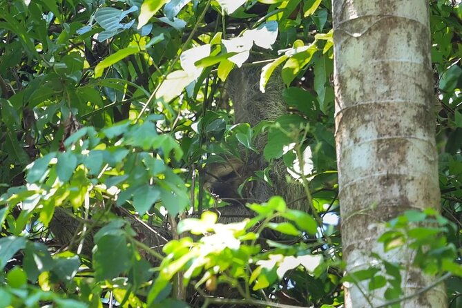 full-day-tour-manuel-antonio-national-park-from-san-jose