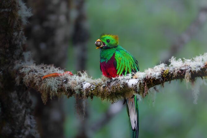 fullday-birdwatching-experience-small-groups