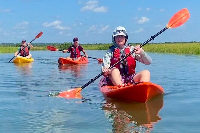 guided-tour-for-dolphin-sea-turtle-observation-in-saint-augustine-florida
