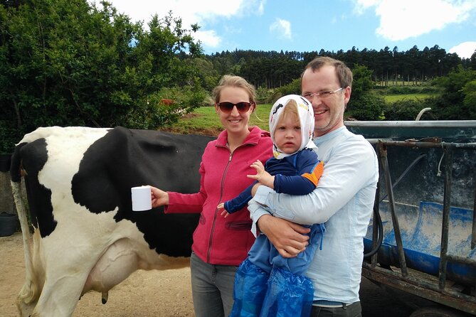 half-day-farm-visit-and-cow-milking-experience
