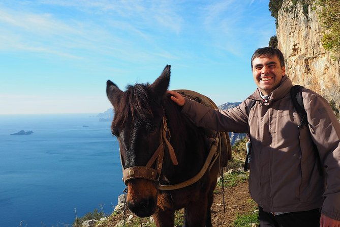 half-day-private-amalfi-coast-path-of-the-gods-hike-with-lunch-2
