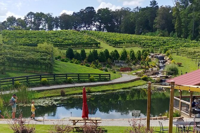 half-day-wine-tastings-in-the-north-georgia-mountains-2