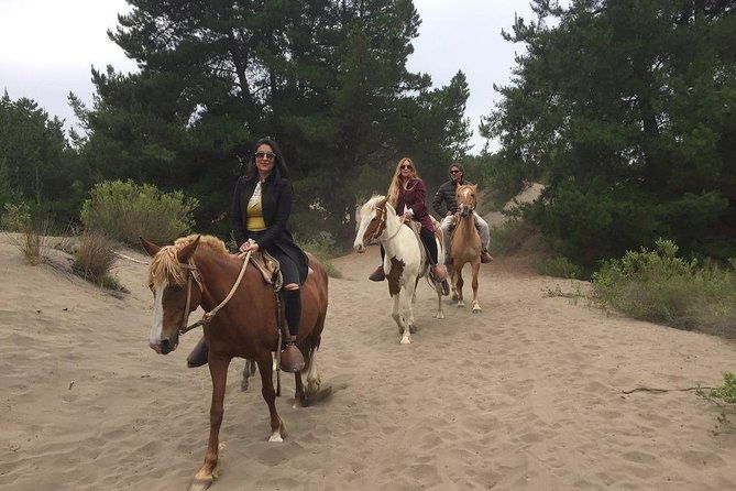 hiking-mauco-hill-horseride-ritoque-beachdunes-from-valparaiso