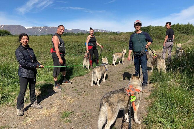 hiking-with-husky-in-akureyri