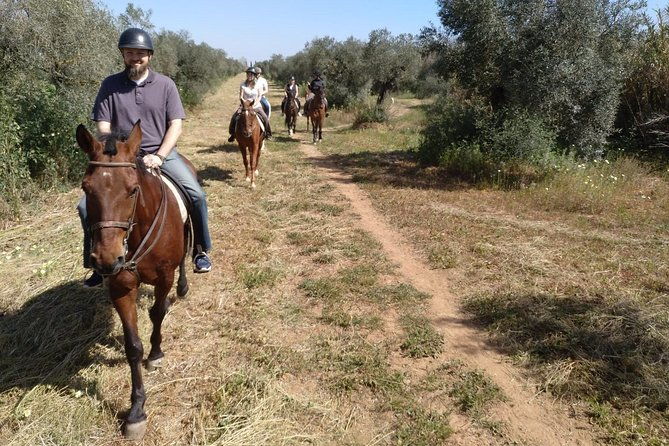 horse-riding-excursion-from-seville