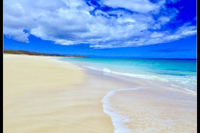 incredible-west-side-hidden-gems-please-contact-before-booking