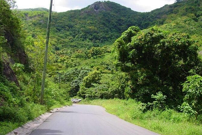 island-safari-4x4-discovery-tour-from-st-johns
