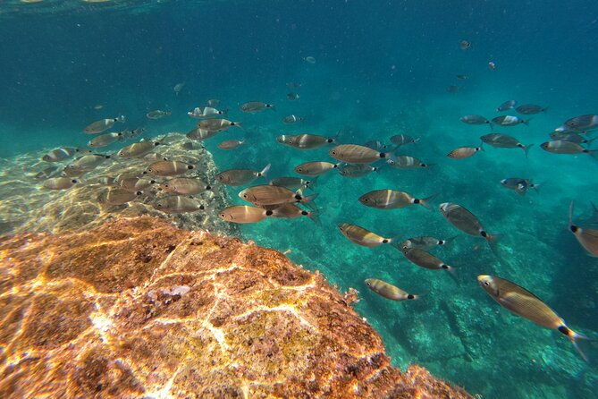 kamenjak-nature-park-kayak-tour-with-snorkeling-cave-exploring