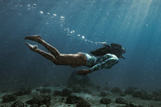 kayak-snorkel-and-surf-with-turtles-in-honolulu