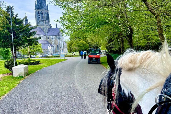 killarney-jaunting-car-tour
