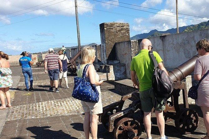 kingstown-botanical-gardens-fort-charlotte-and-beach-w-topdawg-taxi-and-tours