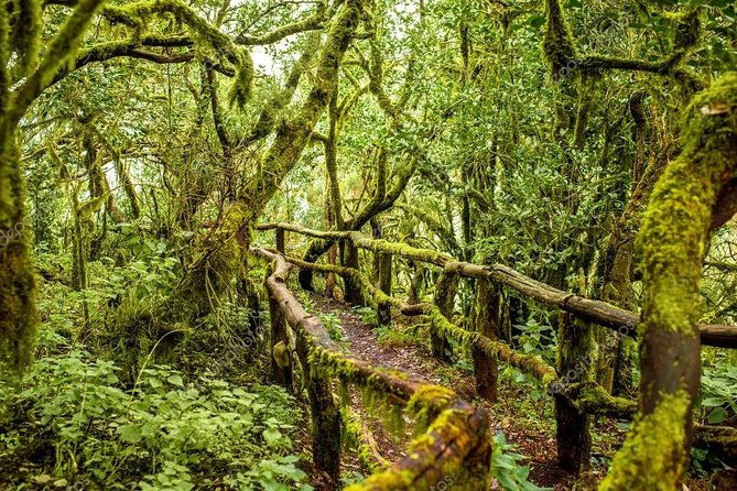 la-gomera-day-trip-from-tenerife-2