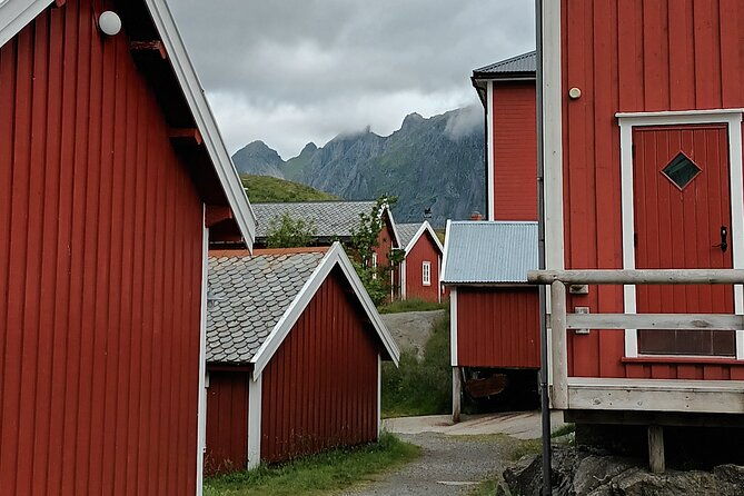 lofoten-vip-private-tour-from-leknes-city-port-4