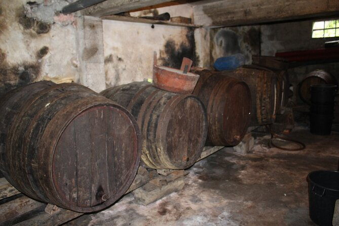 madeira-island-private-wine-full-day-tour-in-all-terrain-vehicle